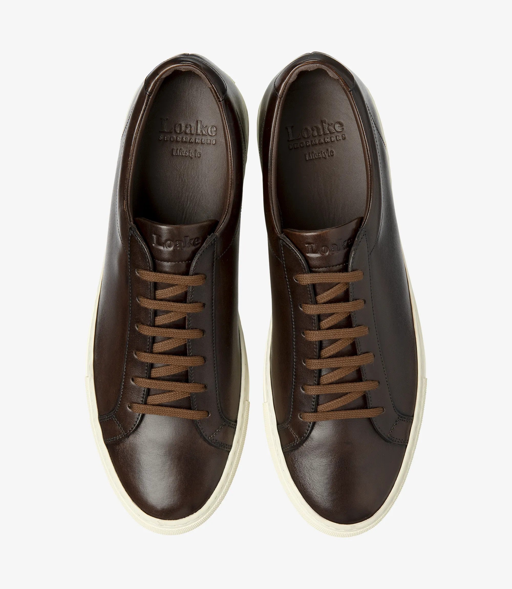 Loake Sprint Dark Brown w/ Hand-painted Leather Sneakers Top View